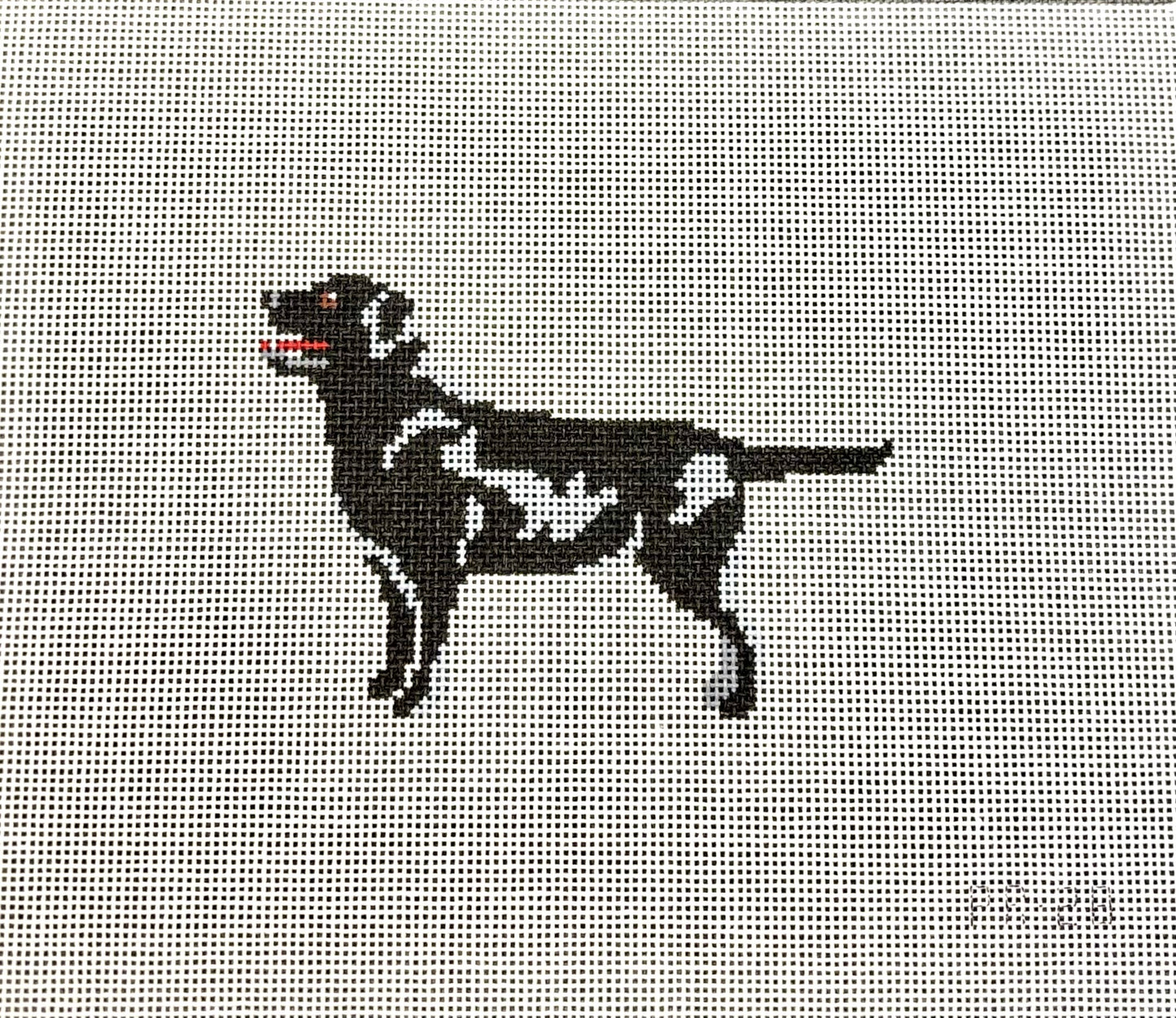 Black Lab