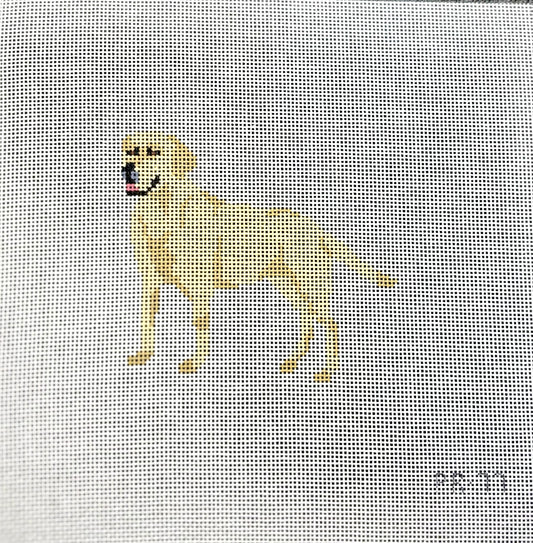 Yellow Lab